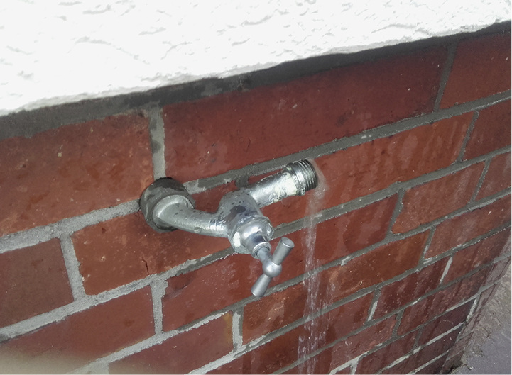 
Erschreckend und faszinierend zugleich.



