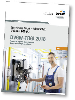 



Mit dem Erscheinen der neuen TRGI können die Fachbetriebe auch einen Kommentar erwerben.
