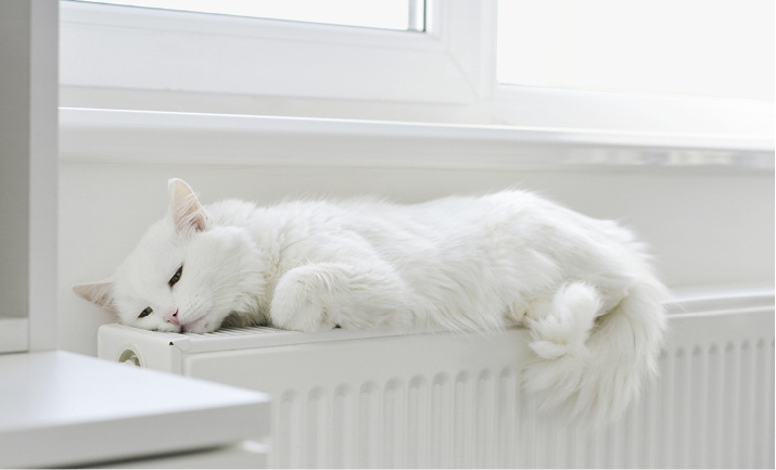 <p>
</p>
<p>
Das Thema Heizungsmodernisierung bietet SHK-Betrieben ein großes Potenzial.
</p> - © tashka2000 / Thinkstock
 
Das Thema Heizungsmodernisierung bietet SHK-Betrieben ein großes Potenzial.