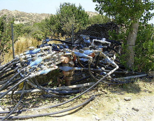 
Wächst und gedeiht.



