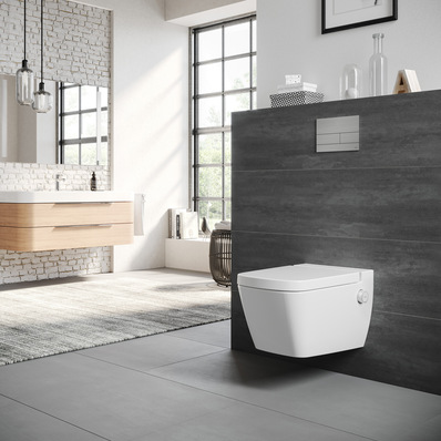 Was wünschen sich eigentlich Verbraucher von Dusch-WCs, vor allem der heftig umworbene Badrenovierer aus der Alterskohorte 55+?