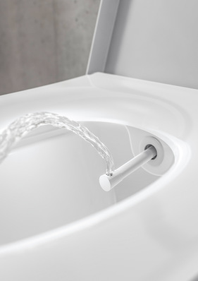 Spricht man von einem Dusch-WC ist eine Toilette mit integrierter Duschfunktion gemeint.