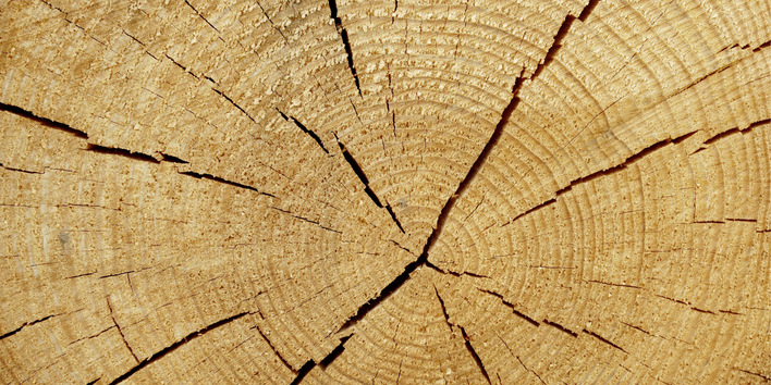 Bild 1: Geschossdecken mit tragenden Elementen aus Holz in Form gesägter oder behauener (Decken-)Balken waren bis etwa 1940 bei Mehrfamilienhäusern üblich. Bei Modernisierungsmaßnahmen sind fast zwangsläufig Rochdurchführungen erforderlich, die aber heutigen Anforderungen an den Brandschutz genügen müssen.