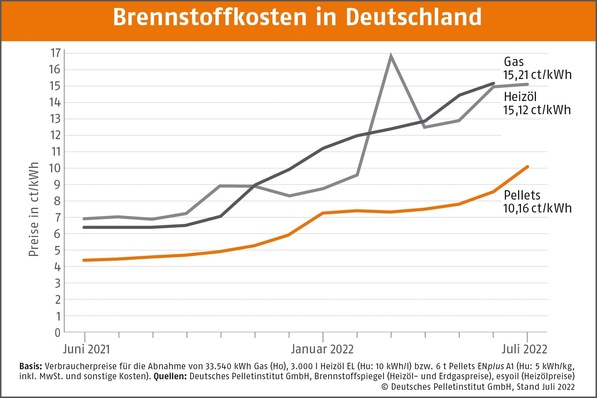 © Deutsches Pelletinstitut
