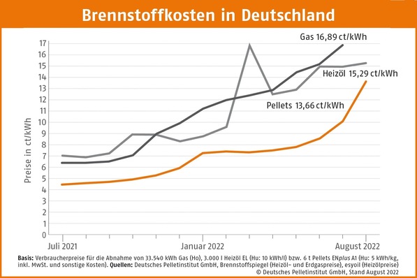 © Deutsches Pelletinstitut
