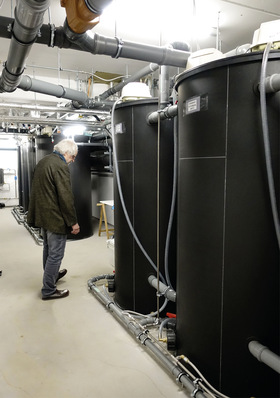 Grauwasseraufbereitung mit Wärmerückgewinnung für 399 Studentenapartments in Berlin-Pankow. Die Reinigung des Grauwassers geschieht im Wirbelbettverfahren, einem vollautomatischen, mehrstufigen und geschlossenen Recyclingprozess, ohne chemische oder biologische Zusätze.