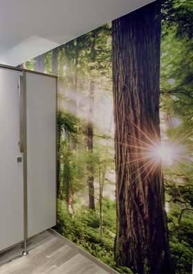 In jeder Etage wurde von den Mitarbeitern ein anderes Motiv aus der Themenwelt „Wald und Natur“ ausgewählt, das sich über eine Seitenwand der WC-Räume erstreckt.