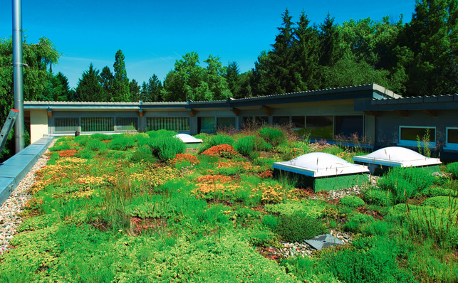 Dachbegrünungen bieten optimale Voraussetzungen zur Regenwasserrückhaltung auf Flachdächern.