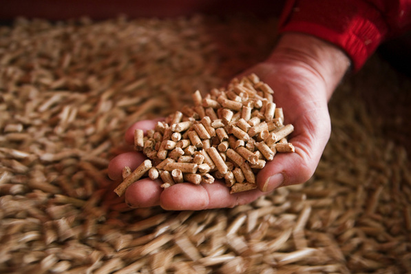 holzpellets