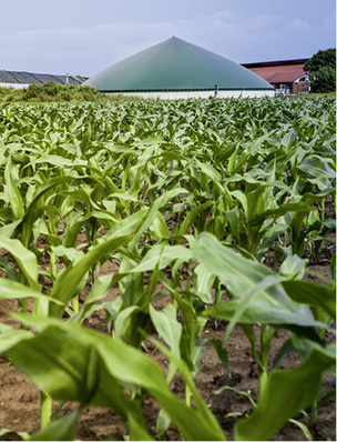 
In Biogasanlagen besteht die Gefahr der Verunreinigung des Trinkwassers.



