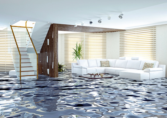 





Bereits ein kräftiges Sommergewitter kann zur Überflutung von Kellern und anderen tief gelegenen Räumen führen.

